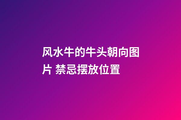风水牛的牛头朝向图片 禁忌摆放位置